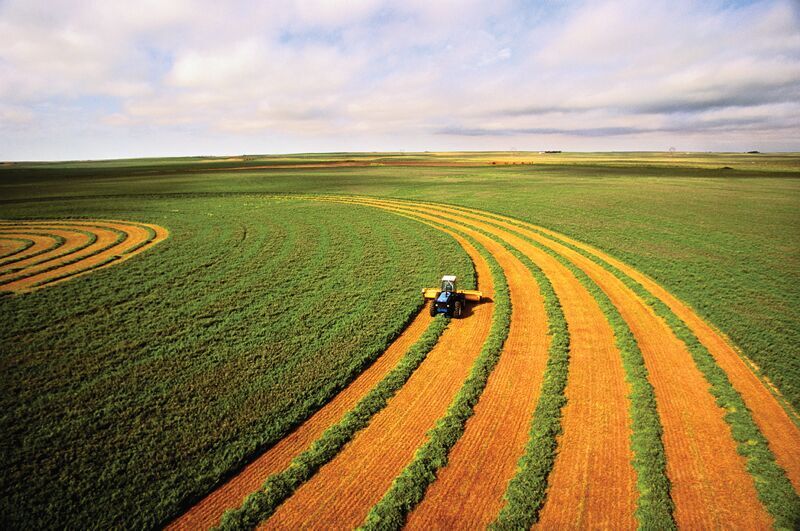 Considering No-Till, Residue and Cover Crop Ramblings